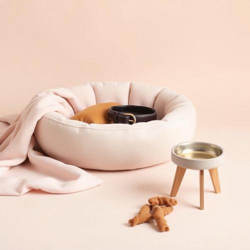 🎁 Gifts for Dog Owners Who Spoil Their Dogs: Elevate Their Pet's Lifestyle