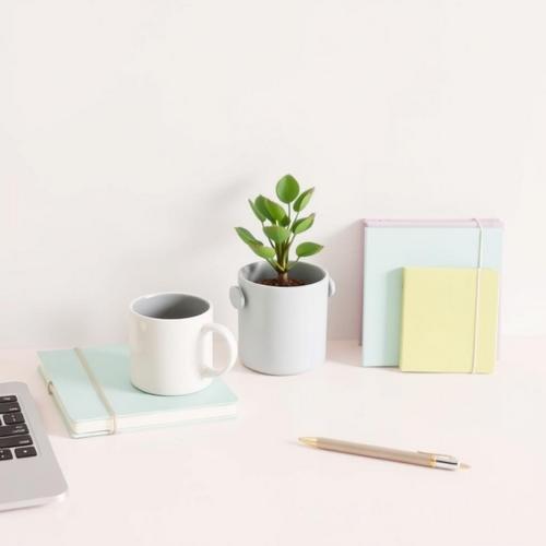🎁 What Are Good Inexpensive Gifts for Coworkers?